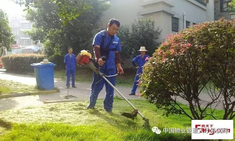 小区保洁绿化